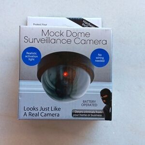 Mock dome surveillance camera